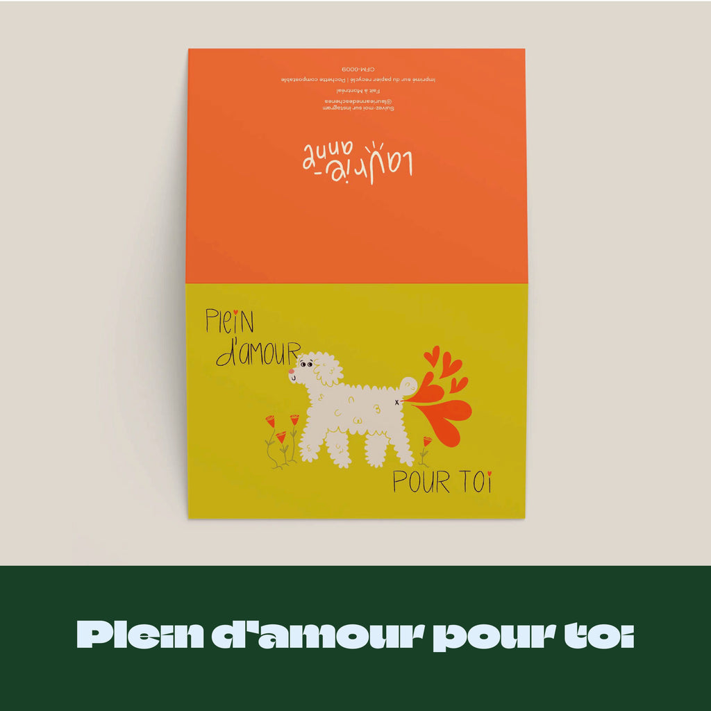 6 cartes au choix