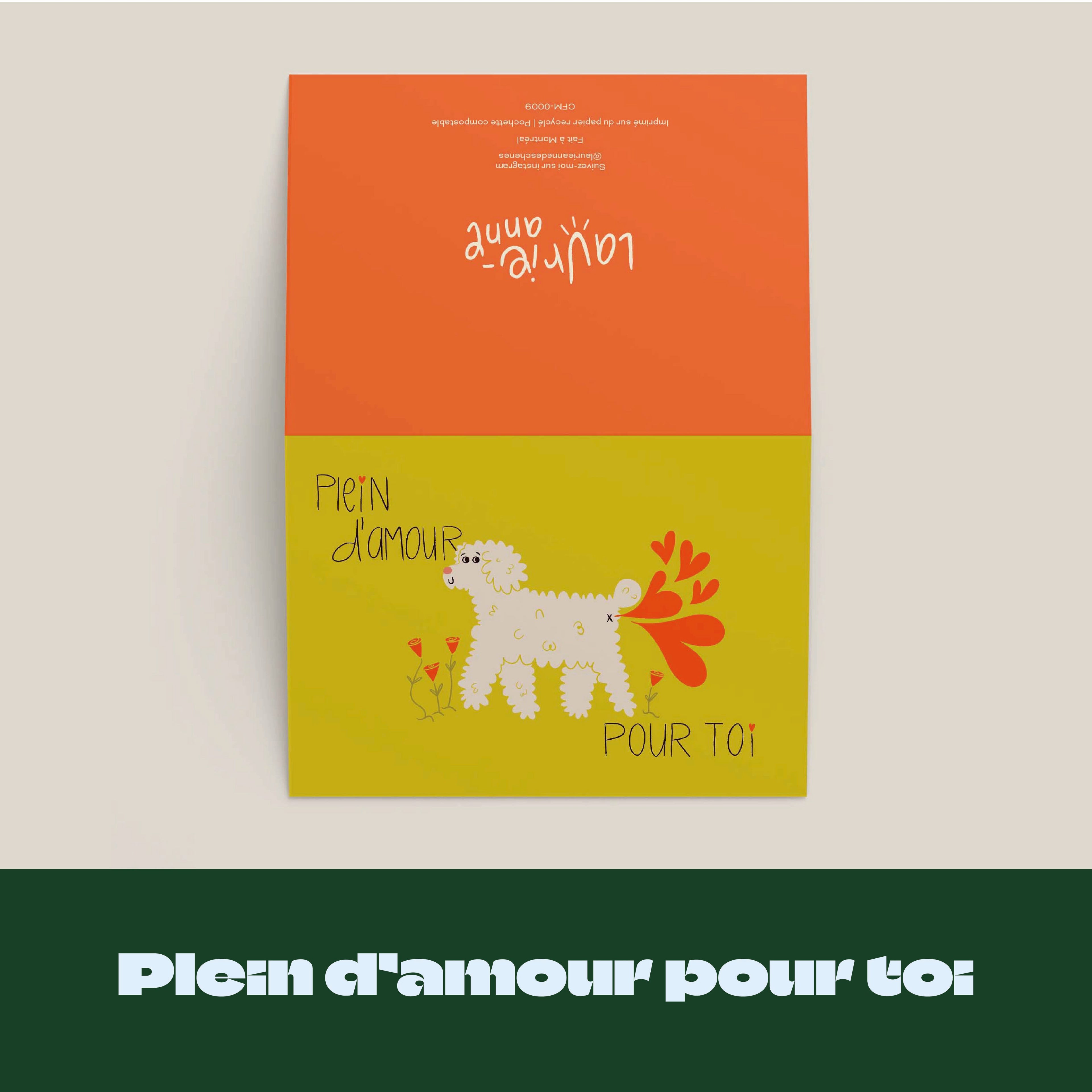 6 cartes au choix