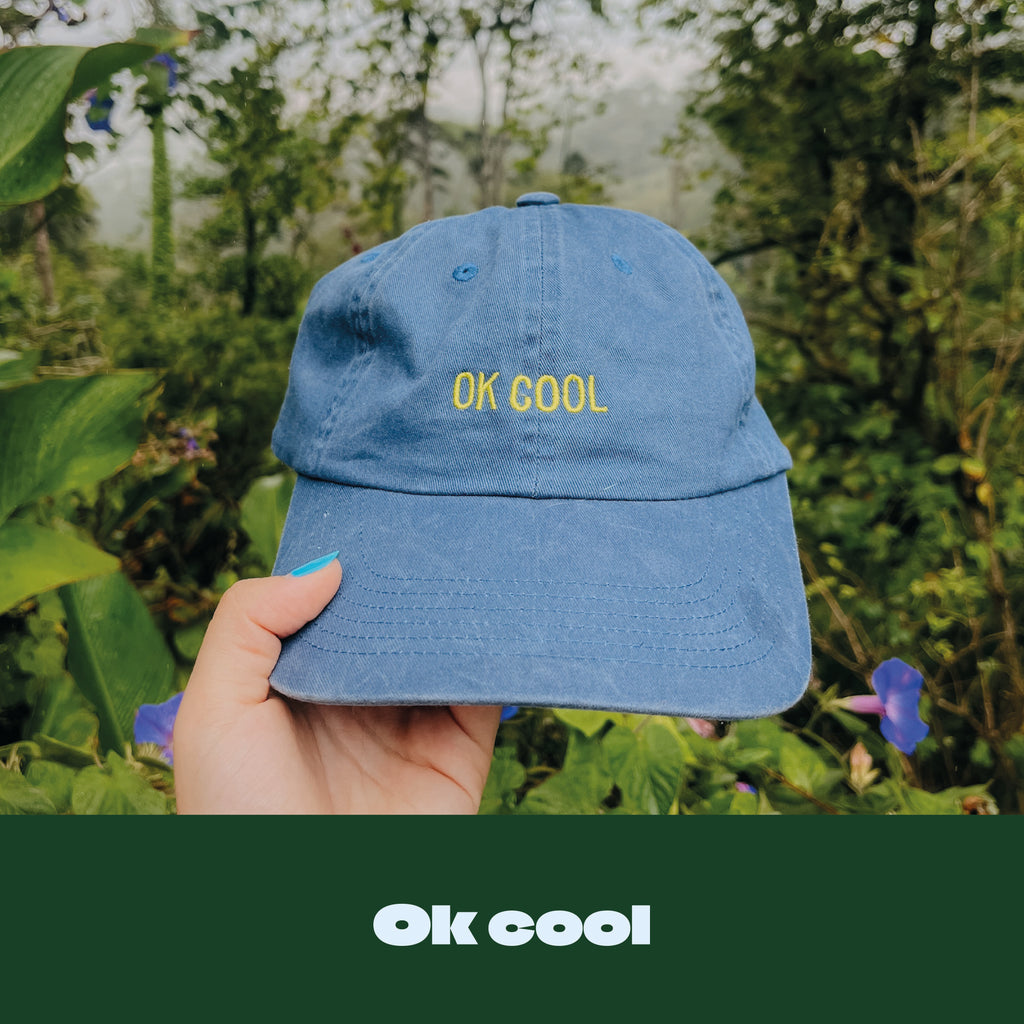3 casquettes au choix