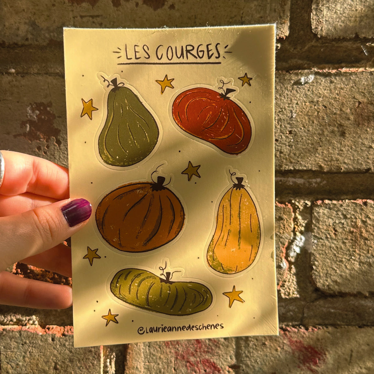 Feuille d'autocollant Les courges - Paquet de 6 feuilles